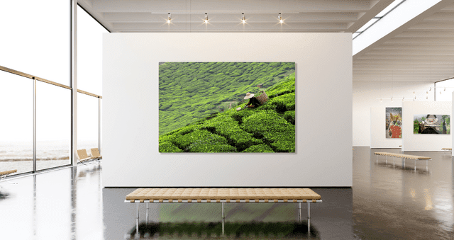 XL Metal Print (Print Partner)