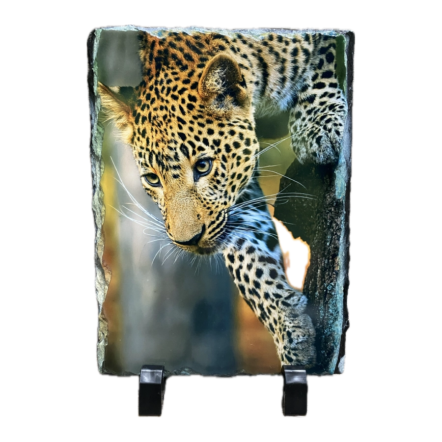 5.5" x 7.5" Rectangle SubliStone